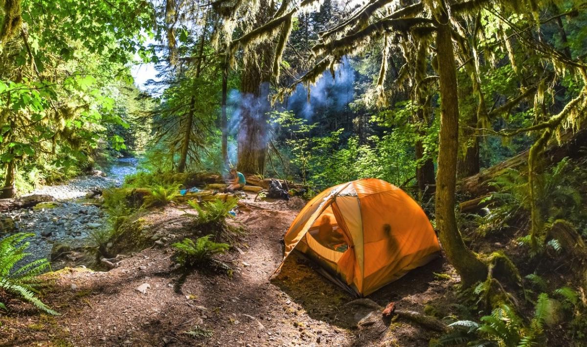 New Campsite Availability Notifications From Washington State Parks   Tent Family Camping Woods River Gifford Pinchot National Forest Istock 0 